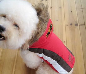 美琪妃寵Feipet 2012秋冬寵物服裝新品解析 價格、廠家與大白寵物風(fēng)尚